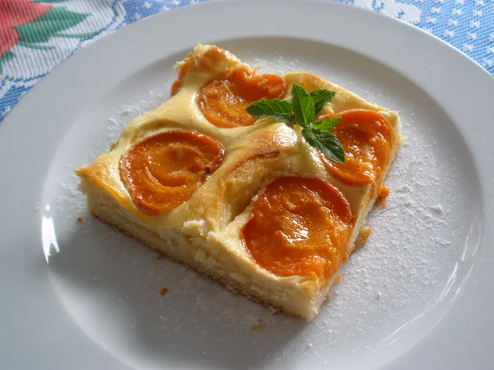 Topfen - Marillenkuchen