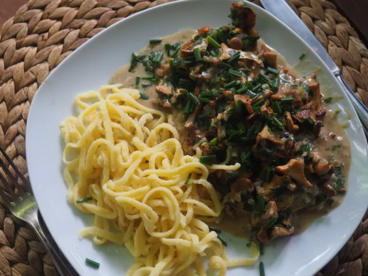 Schweinefiletmedaillons in Schwammerl-Sherry-Rahmsauce 