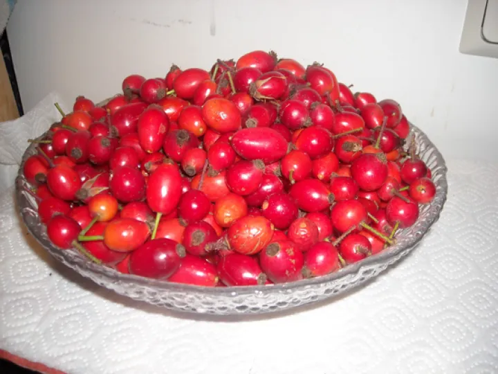 Pikante Hagebuttensauce