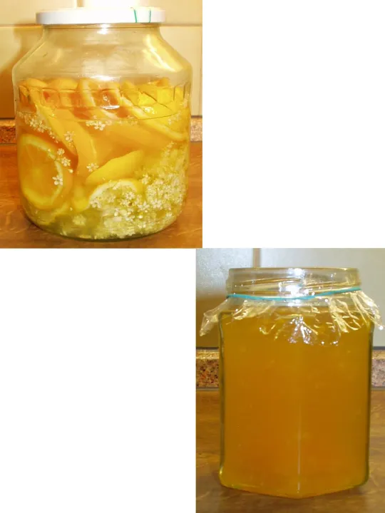 Gelee von Holunderblüten