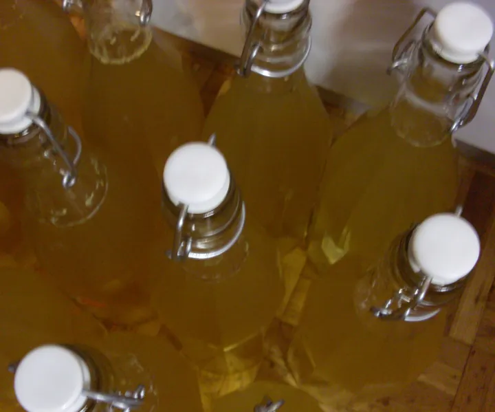 Holunderblüten - Sirup / Variante 2