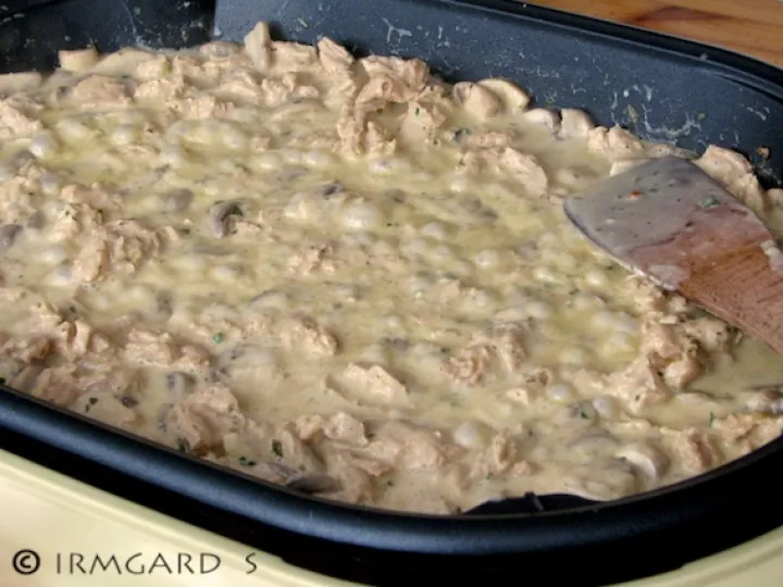 Steinpilzgeschnetzeltes