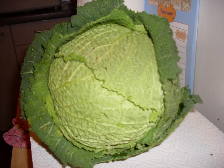 Kohltaschen mit Schafskäse