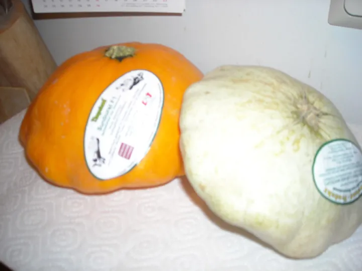 Kürbissalat mit Schafskäse