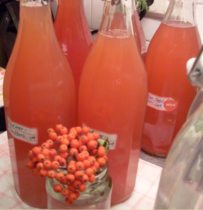 Vogelbeer - Marillensirup