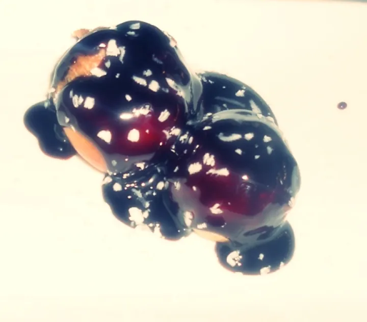 Brandteigkrapferl mit Topfen-Oberscreme