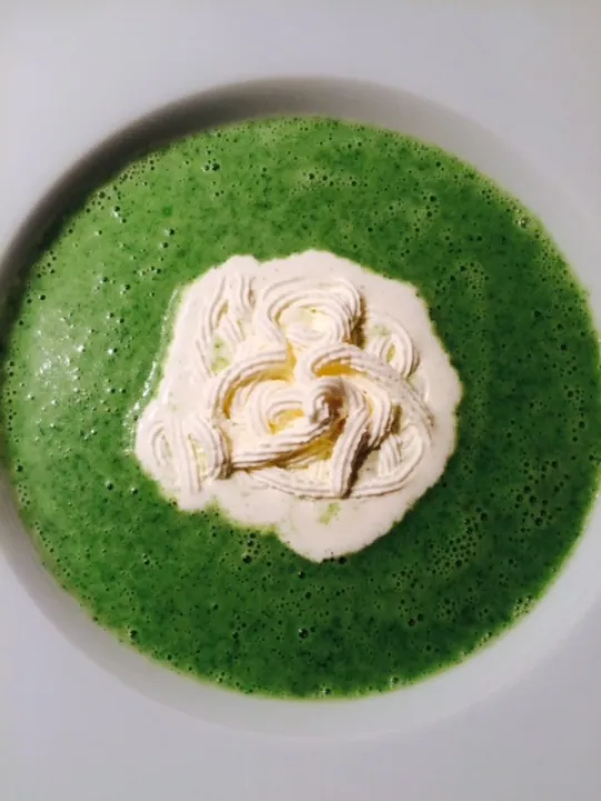 Broccoli Creme-Suppe