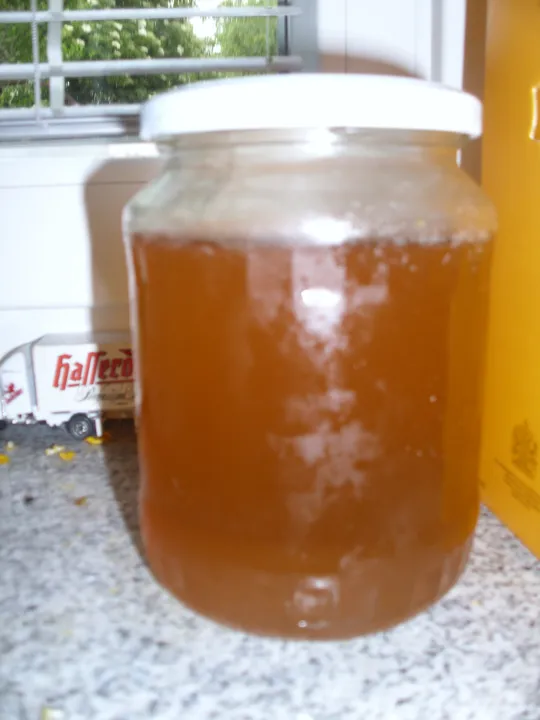 Holunderblütengelee mit Limettenscheiben