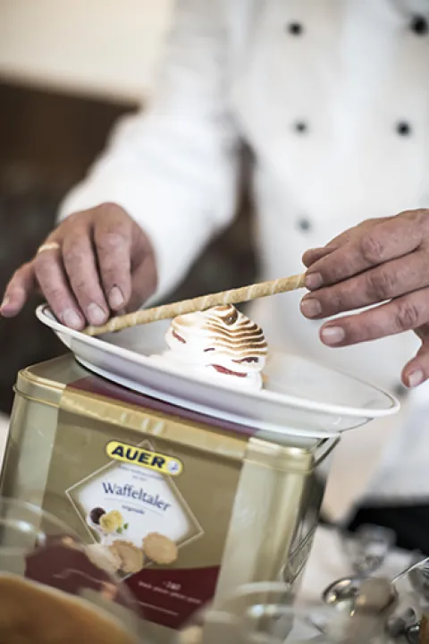 Weingartenpfirsich Surprise