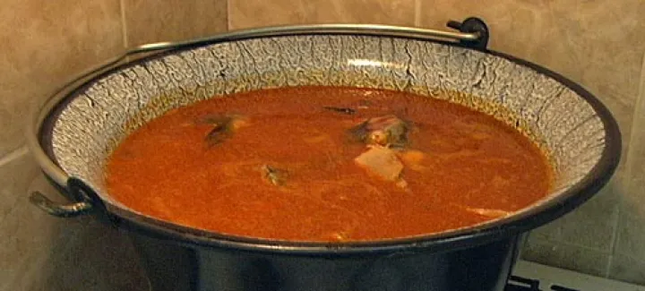 Halaszle –scharfe ungarische Fischsuppe auf Fritz-Art