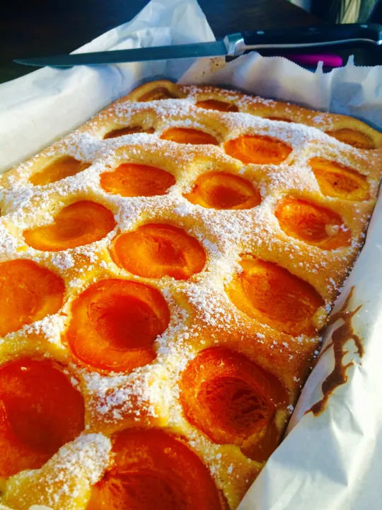 Marillenkuchen