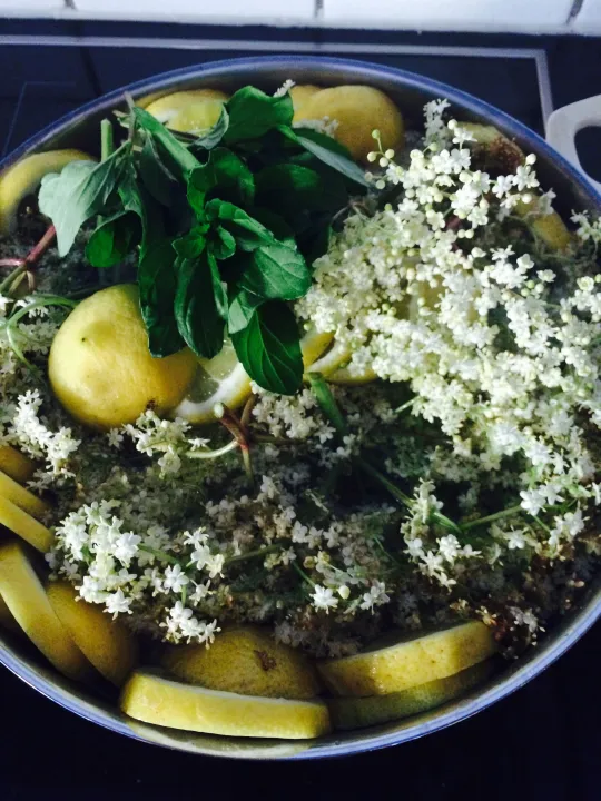 Holunder- Minze Sirup 