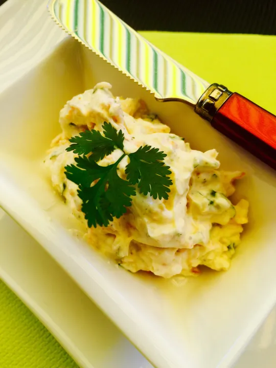 Karotten- Koriander Aufstrich mit Ingwer 