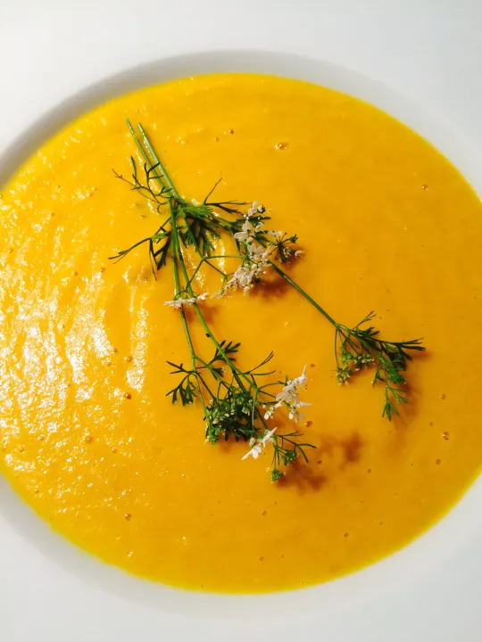 Karamellisierte Karotten-Kokos Suppe 