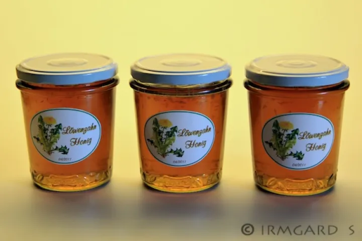 Löwenzahnhonig mit Minze