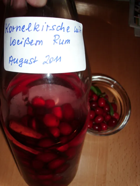 Kornelkirschen - Likör