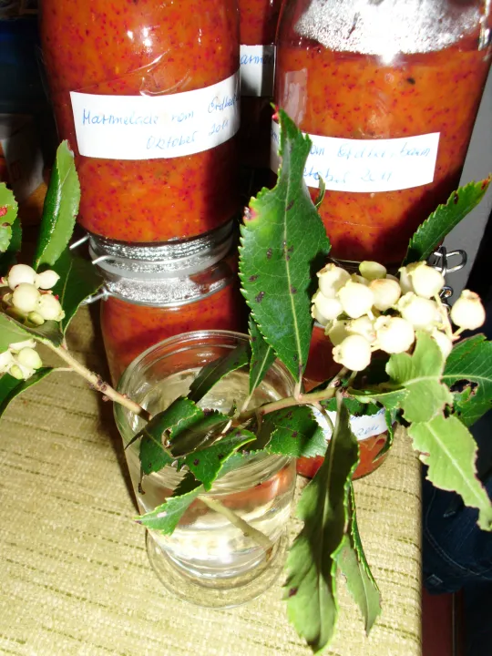 Marmelade von den Früchten des Erdbeerbaumes