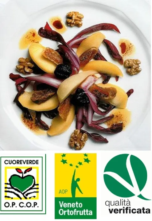 Radicchio – Birnen – Apfel – Salat