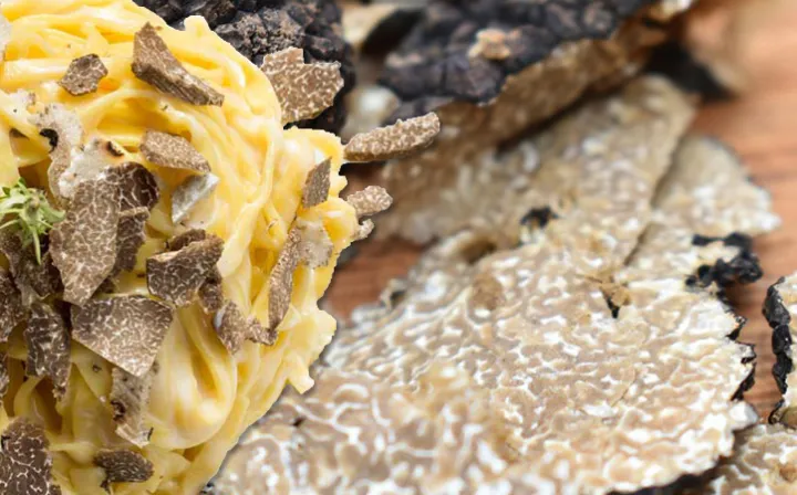 Pasta mit frischen Trüffeln