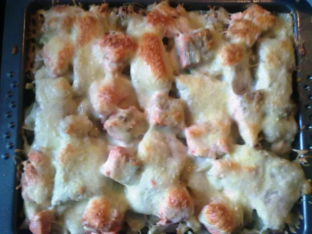 Schlemmergratin leichte Art ( Tagliatelle mit Fenchel,Chicoree und zweierlei Fisch)