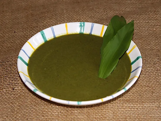 Bärlauchcremesuppe