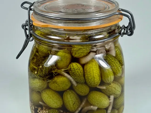 Sauer eingelegte Mexikanische Minigurken 