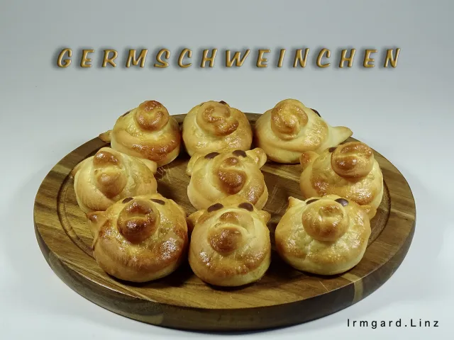 Germschweinchen