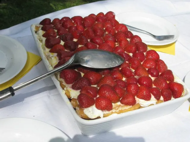 Erdbeer-Tiramisu