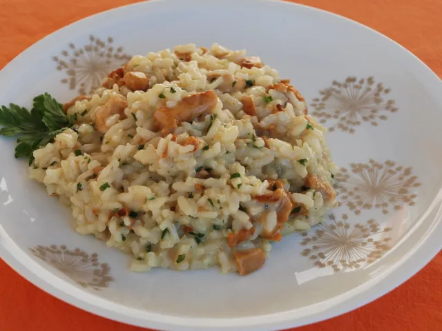 Eierschwammerlrisotto