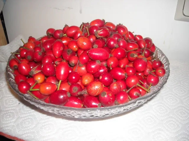 Pikante Hagebuttensauce