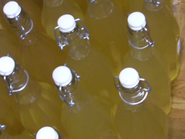 Holunderblüten - Sirup / Variante 3