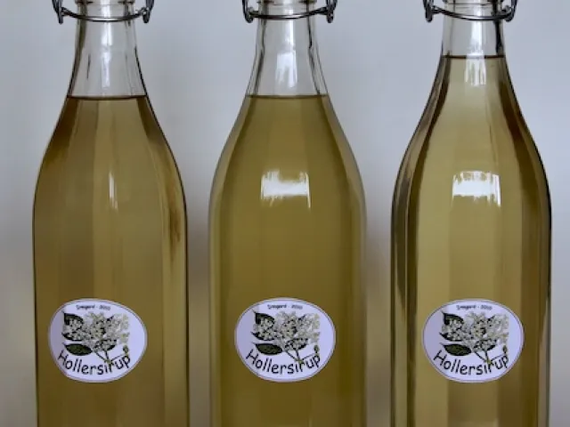 Holunderblütensirup