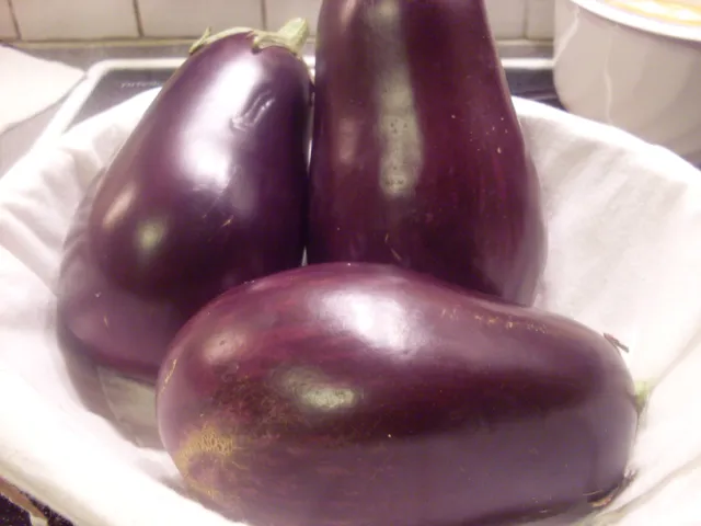 Melanzaniauflauf mit Mozzarella