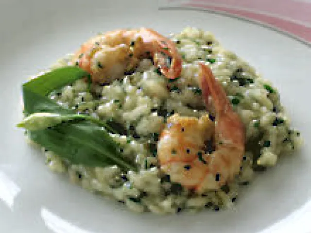 Bärlauchrisotto mit Garnelen