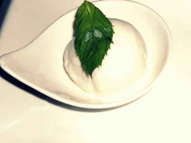 Zitronen-Sekt-Sorbet