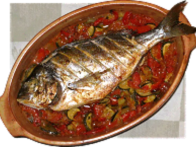 Dorade Mediterran
