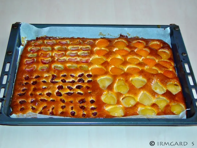 Blechkuchen Quattro Stagioni