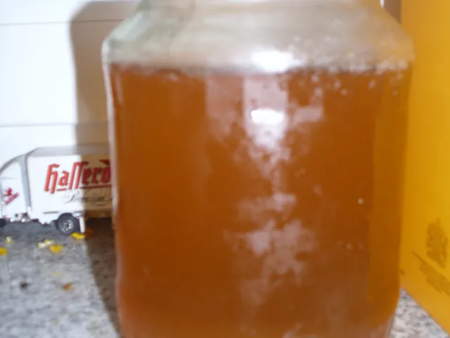 Holunderblütengelee mit Limettenscheiben