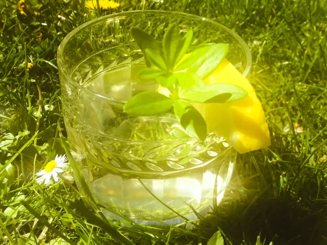 Maibowle (Waldmeister)