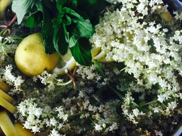 Holunder- Minze Sirup 