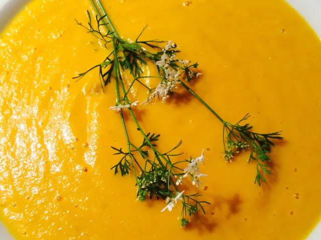 Karamellisierte Karotten-Kokos Suppe 