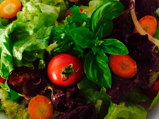 Gartensalat mit Dijon -Senf Dressing 