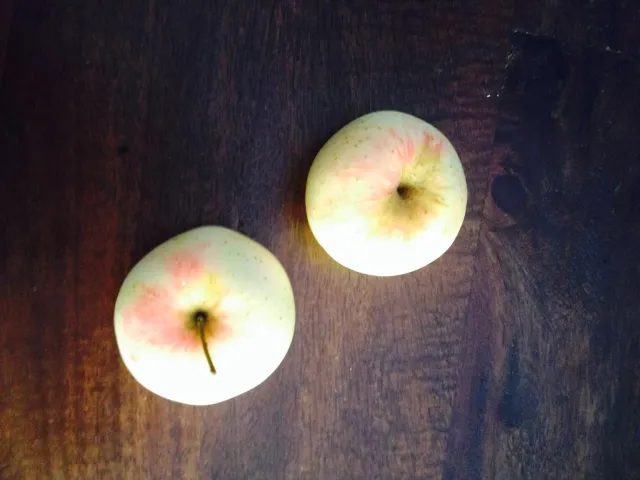 Sandras Apfelstrudel