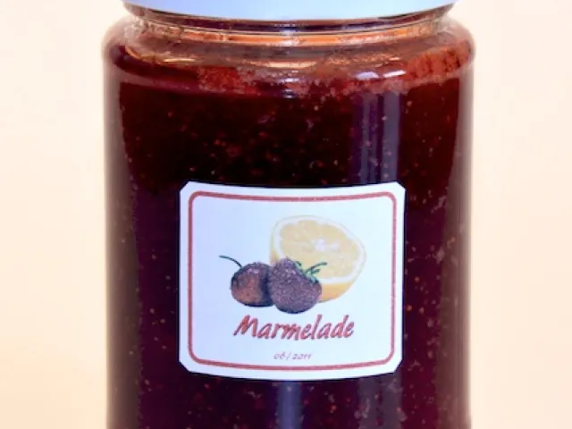 Erdbeer - Zitronen - Marmelade