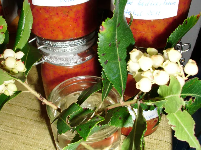 Marmelade von den Früchten des Erdbeerbaumes