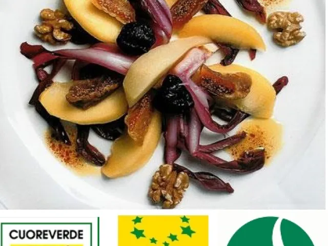 Radicchio – Birnen – Apfel – Salat