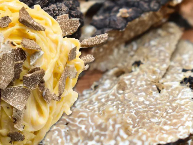 Pasta mit frischen Trüffeln